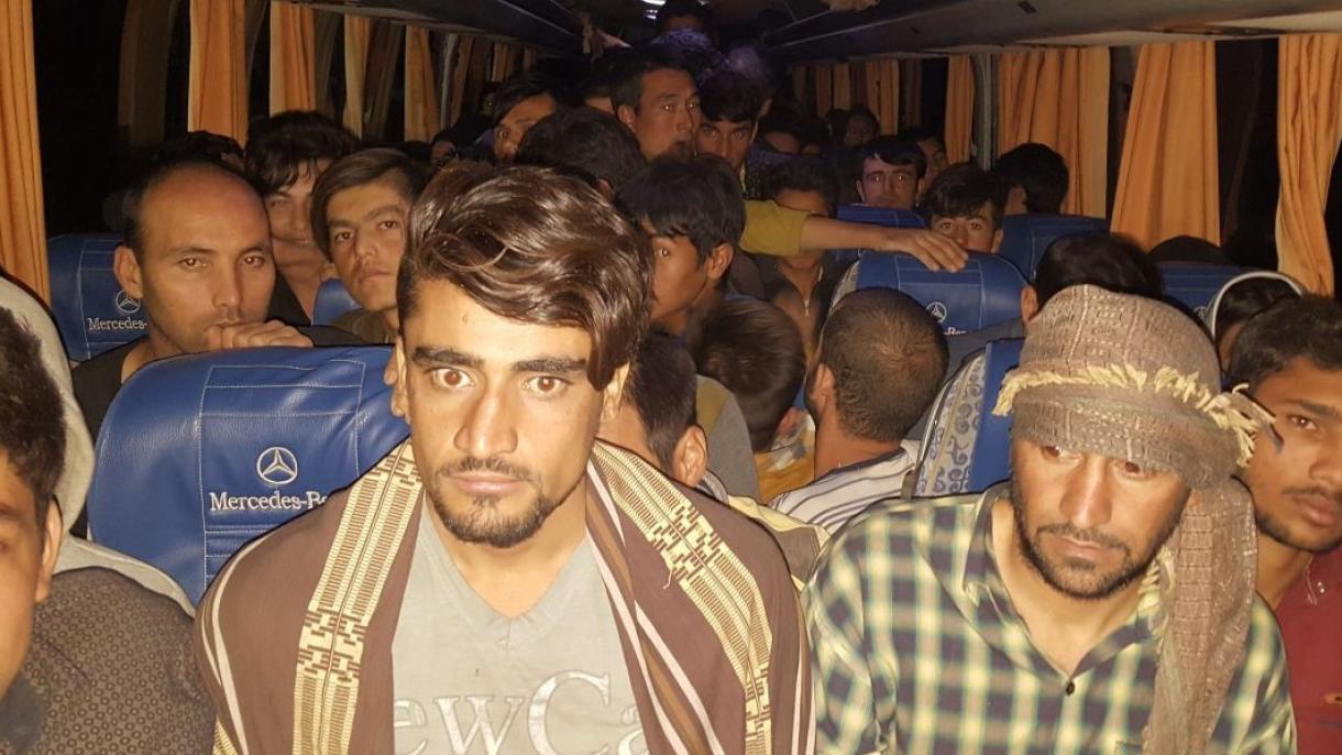 دستگیری 258 مهاجر قاچاق در سیواس و چانکری ترکیه