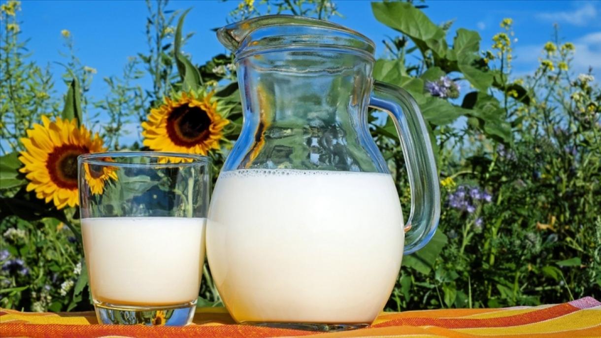 صادرات شیر و محصولات لبنی امسال 12 درصد افزایش یافت