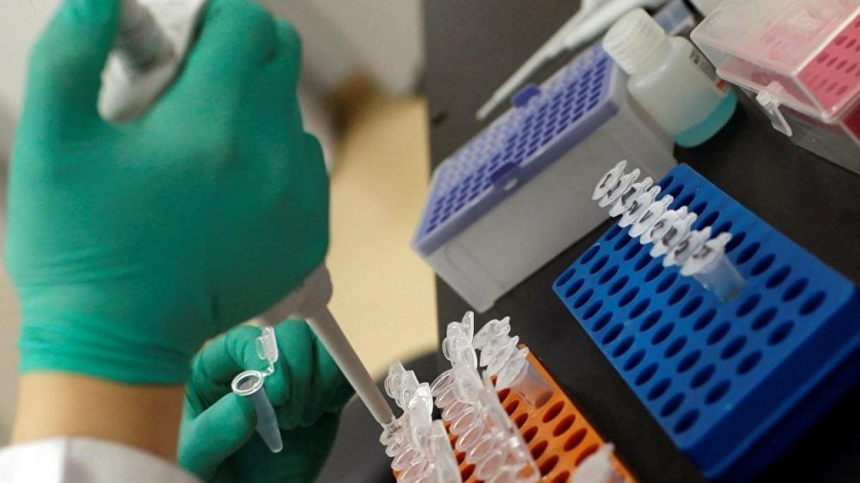 Scienziati americani sviluppano un’analisi di sangue che identifica 20 tipi di cancro