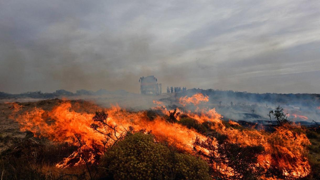 Incendio forestal arrasa un área de 80.000 hectáreas en Puerto Madryn, Argentina