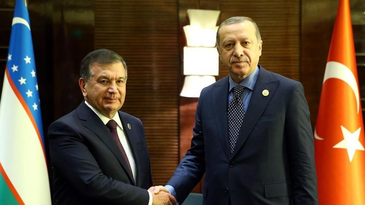 Las relaciones entre Turquía -Uzbekistán en el primer año de Mirziyayev