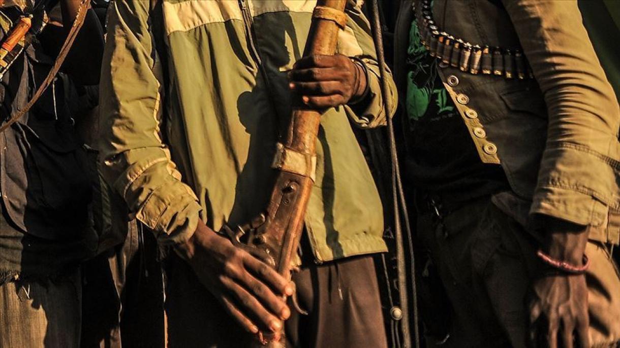 Nigeriýada ýaragly toparlar tarapyndan zamun alynan 76 adam azat edildi