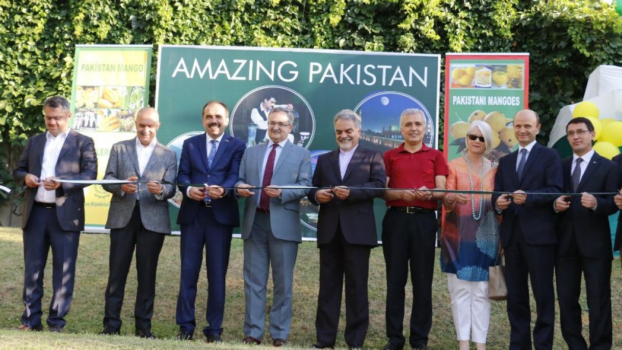 پاک ترک  تعلقات میں مینگو جیسی میٹھاس پائی جاتی ہے: سفیر پاکستان