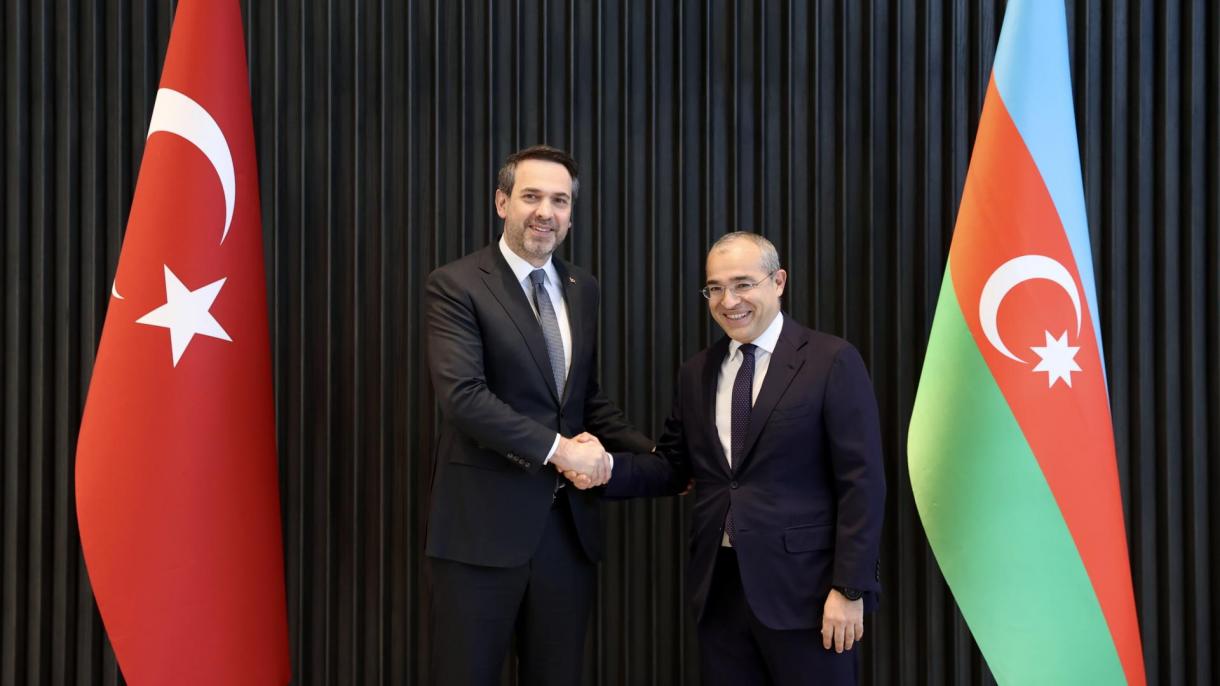 土耳其能源部长会见阿塞拜疆经济部长