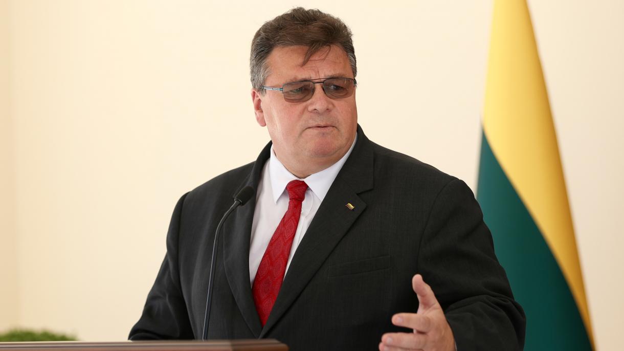 وزیر امور خارجه لیتوانی : عاملین کودتای نافرجام در ترکیه باید محاکمه شوند