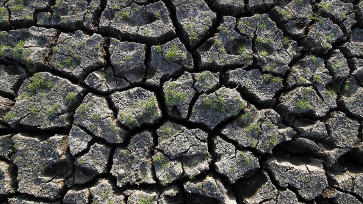 Argentina sufre la pérdida de cultivos debido a la sequía
