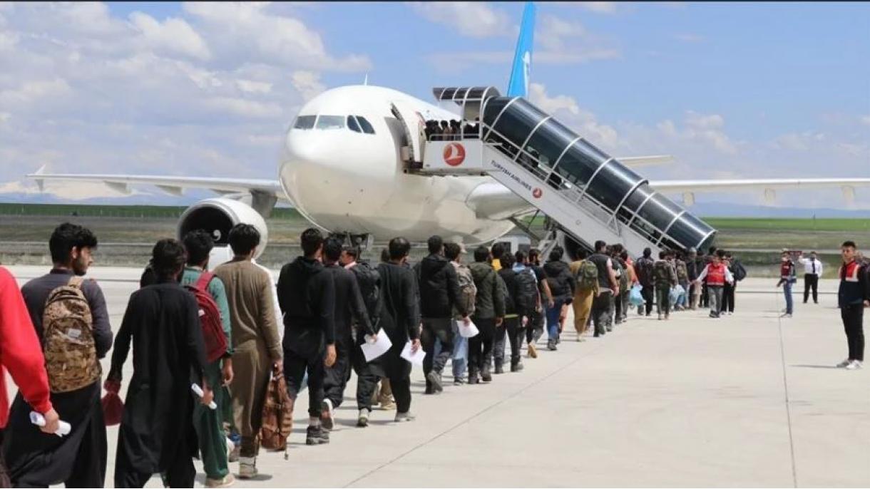 بازگردانده شدن 227 مهاجر نامنظم افغان به کشورشان