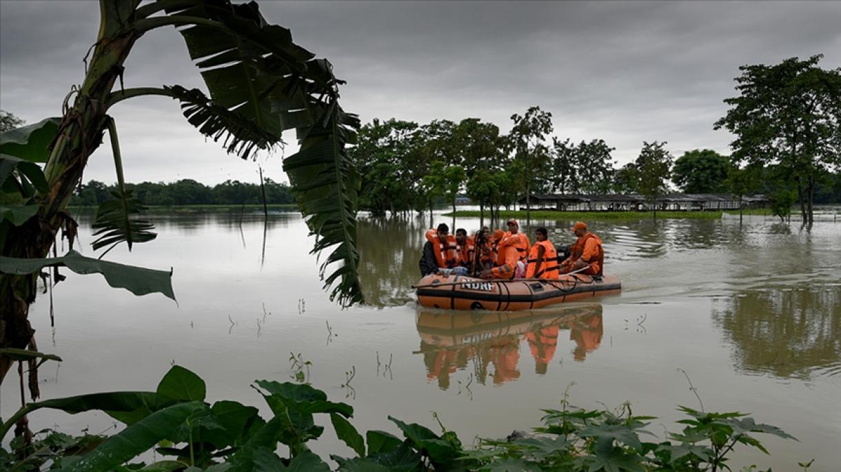 印度强降雨死亡人数升至71人