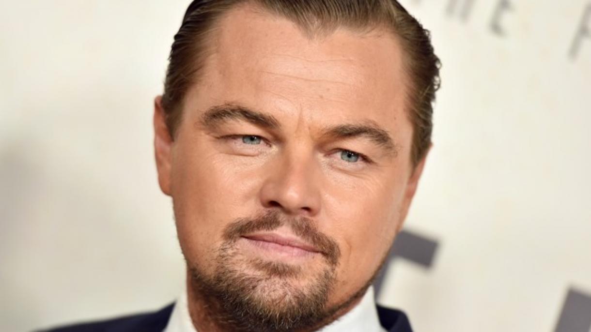 Leonardo DiCaprio promove ajuda de 5 milhões de dólares para os incêndios na Amazônia