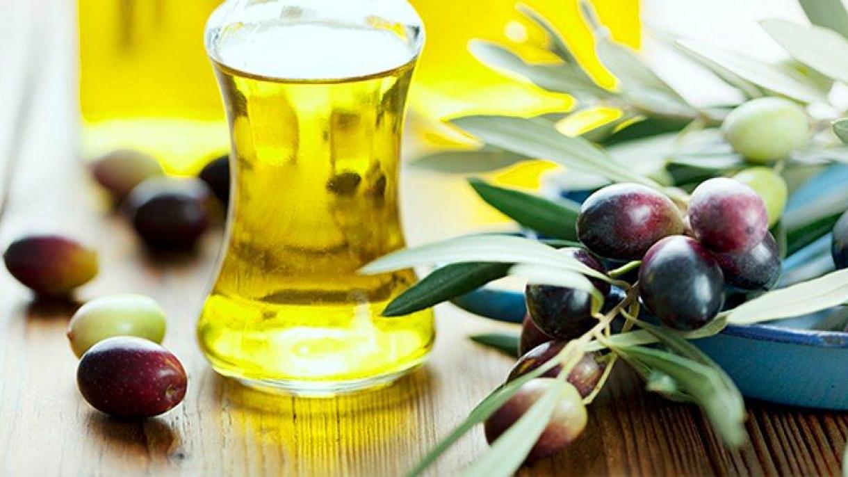 ¿Sabían que el cultivo del olivo en Milas, es tan antiguo como la historia humana?
