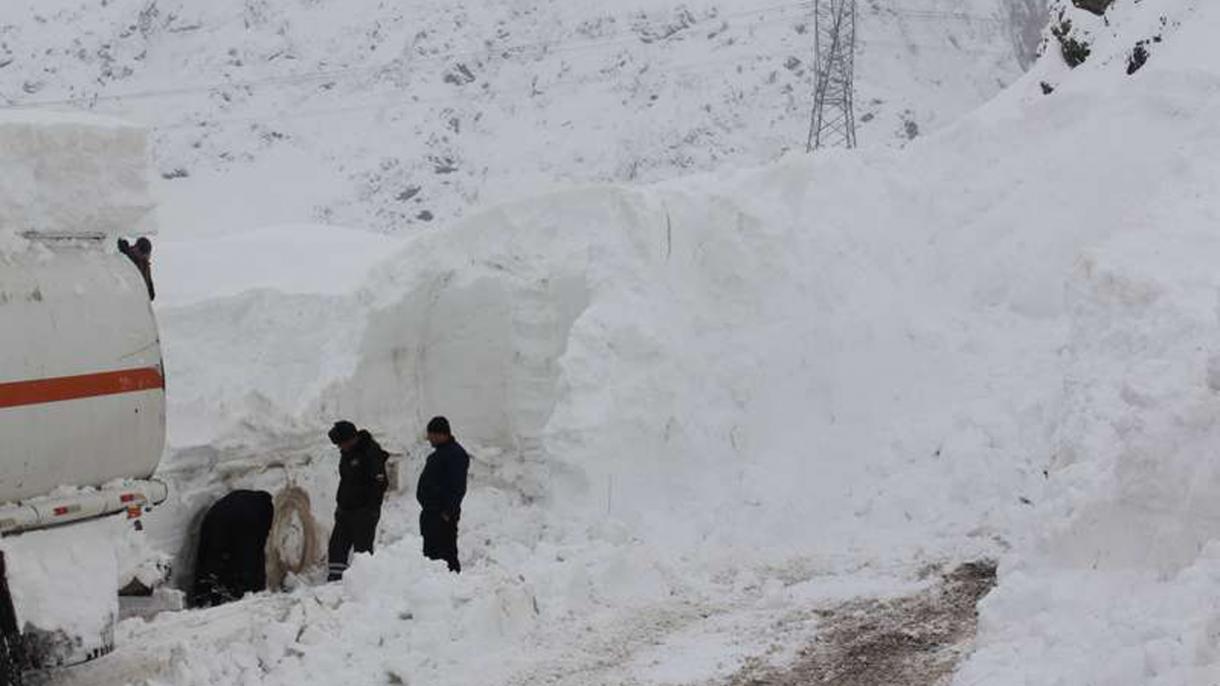 塔吉克斯坦北部发生雪崩  7人遇难